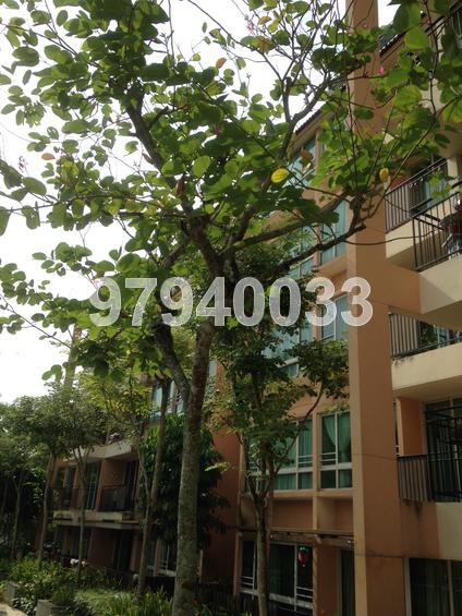 The Sensoria (D27), Condominium #116889262